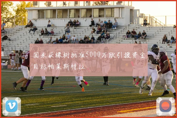 国米获橡树批准5000万欧引援资金目标帕莱斯特拉